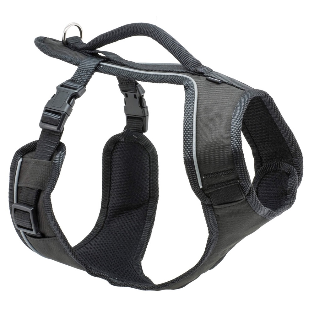 Small Black Dog Harness